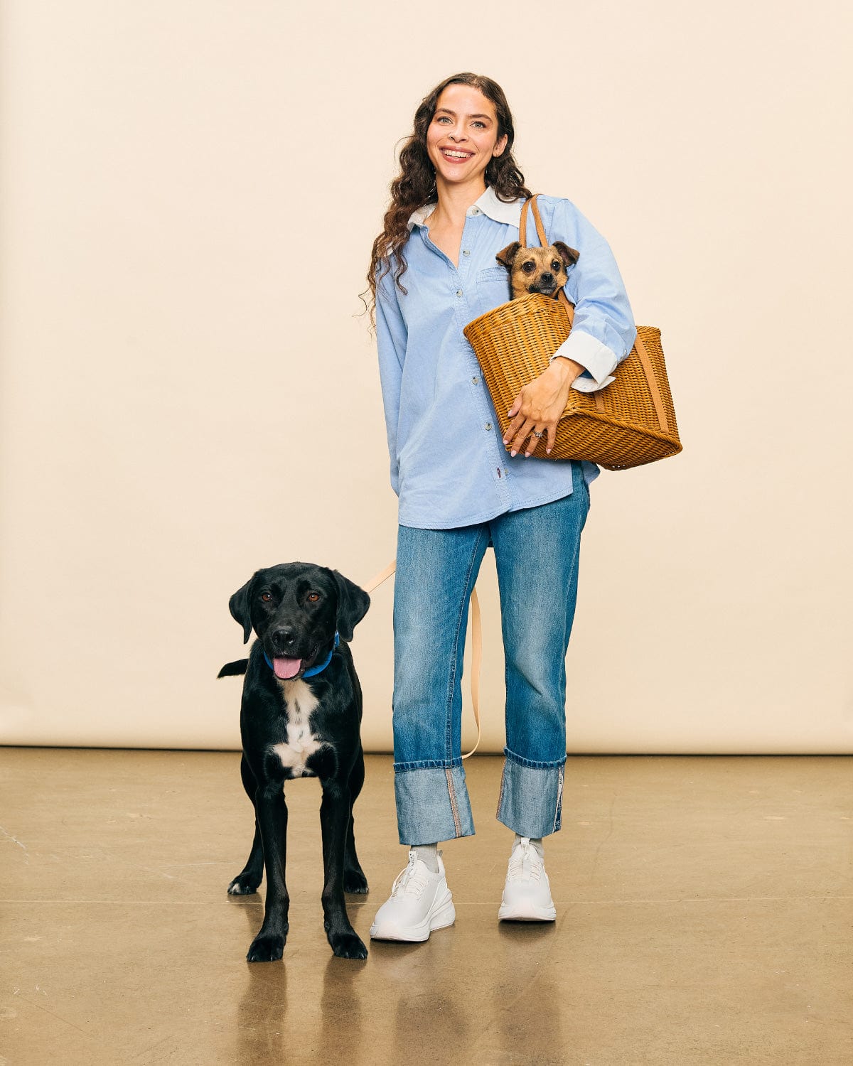 forte-brilliant-white_Model_Dogs_Comfy_Action_Shot
